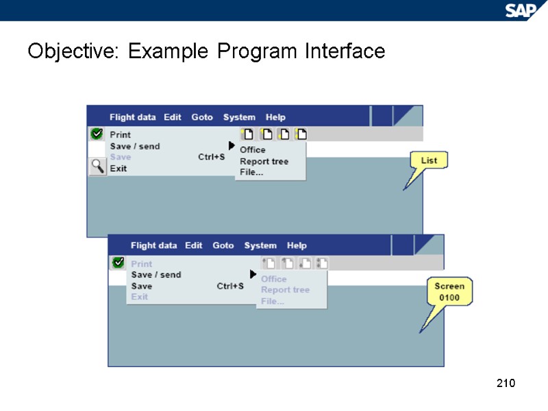 210 Objective: Example Program Interface